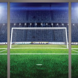 Wall murals stadium lights with a big door window