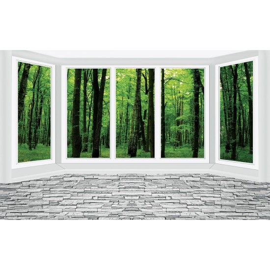 Wall murals window wall view the green forest