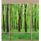 Wallpapers mural Green forest model window 2 color windows Wallpapers mural Green forest model window 2 color windows