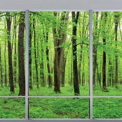 Wallpapers mural Green forest model window 2 color windows