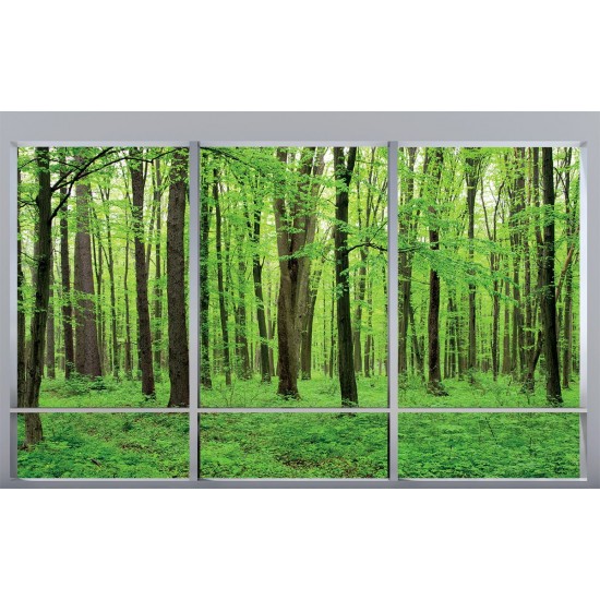 Wallpapers mural Green forest model window 2 color windows Wallpapers mural Green forest model window 2 color windows