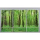 Wallpapers mural Green forest model window 2 color windows Wallpapers mural Green forest model window 2 color windows