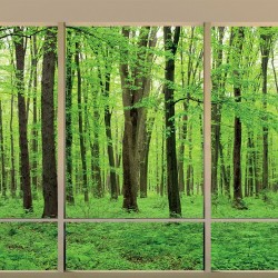 Wallpapers mural Green forest model window 2 color windows