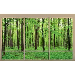 Wallpapers mural Green forest model window 2 color windows