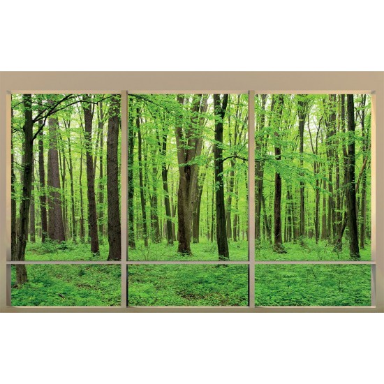 Wallpapers mural Green forest model window 2 color windows Wallpapers mural Green forest model window 2 color windows