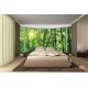 Wallpapers mural ellipse window view bamboo forest