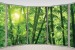 Wallpapers mural ellipse window view bamboo forest
