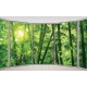 Wallpapers mural ellipse window view bamboo forest