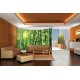 Wallpapers mural ellipse window view bamboo forest
