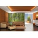 Wallpapers mural window view of forest with purple color Wallpapers mural window view of forest with purple color