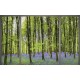 Wallpapers mural window view of forest with purple color Wallpapers mural window view of forest with purple color