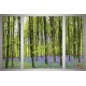 Wallpapers mural window view of forest with purple color Wallpapers mural window view of forest with purple color