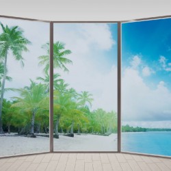 Wallpapers mural ellipse window with coast and palms 2