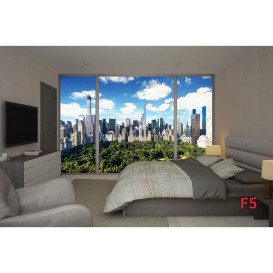 Wallpapers mural window view of New York Central Park