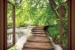 Wallpapers mural forest pathway near the river - 3 colours