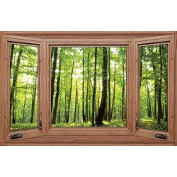 Photo mural wooden windows with a view of the green forest