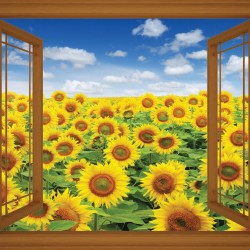 Wallpapers mural beautiful field of sunflowers window - 3 colors