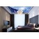 Wallpaper Mural ceiling composition day and night