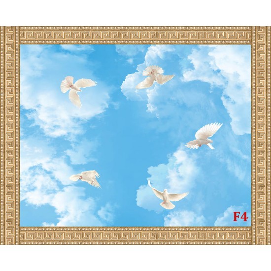 Wallpaper ornament for ceiling with sky and pigeons