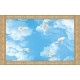 Wallpaper ornament for ceiling with sky and pigeons