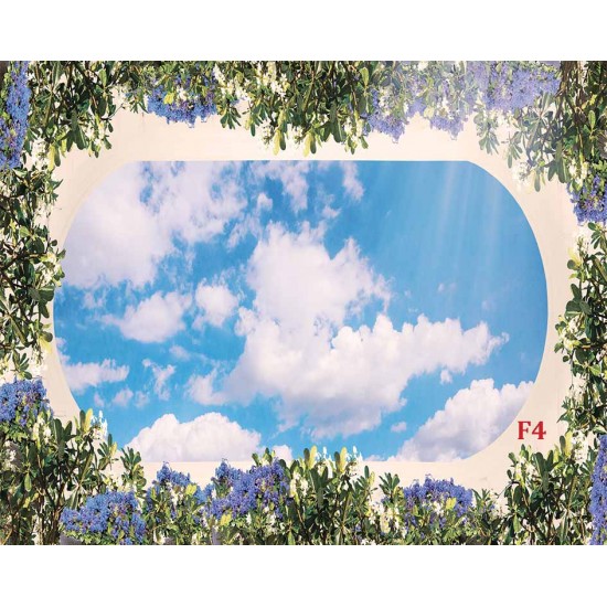 Photo Wallpaper ceiling with 3d effect and oval frame