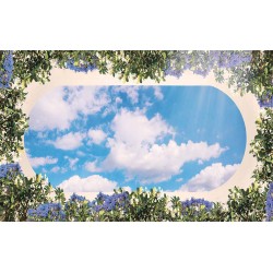 Photo Wallpaper ceiling with 3d effect and oval frame