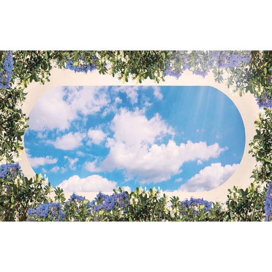 Photo Wallpaper ceiling with 3d effect and oval frame