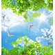 Photo wallpaper for sky ceiling and green twigs Photo wallpaper for sky ceiling and green twigs