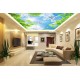 Photo wallpaper for sky ceiling and green twigs Photo wallpaper for sky ceiling and green twigs
