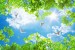 Photo wallpaper for sky ceiling and green twigs