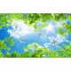 Photo wallpaper for sky ceiling and green twigs Photo wallpaper for sky ceiling and green twigs