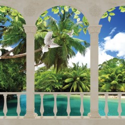 Wallpapers terrace view of sea,palms and pigeons