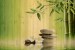 Photo mural spa  with bamboo background wooden structure
