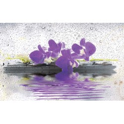 Photo mural spa stones with flowers and water drops in 2 colors