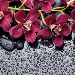 Wall murals spa with purple twig orchid