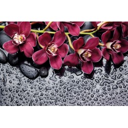 Wall murals spa with purple twig orchid