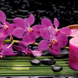 Wallpapers mural cyclamen orchids spa stones and candle