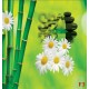 Wallpapers mural a spa composition with bamboo and daisies Wallpapers mural a spa composition with bamboo and daisies