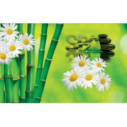 Wallpapers mural a spa composition with bamboo and daisies