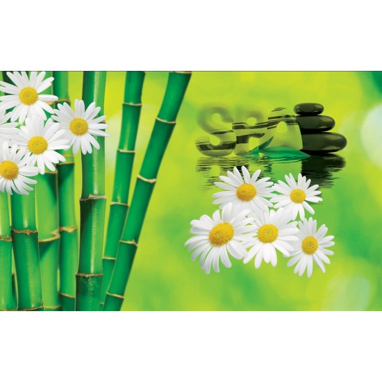 Wallpapers mural a spa composition with bamboo and daisies Wallpapers mural a spa composition with bamboo and daisies