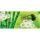Wallpapers mural a spa composition with bamboo and daisies Wallpapers mural a spa composition with bamboo and daisies