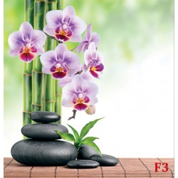 Wallpapers branch purple orchid and spa stones