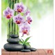 Wallpapers branch purple orchid and spa stones Wallpapers branch purple orchid and spa stones
