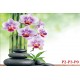 Wallpapers branch purple orchid and spa stones Wallpapers branch purple orchid and spa stones