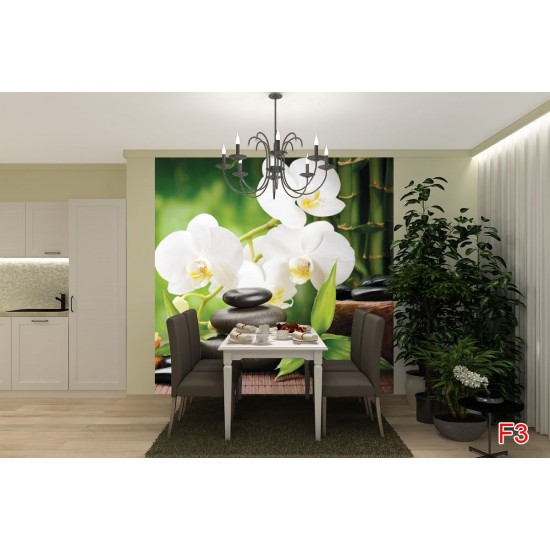 Wallpapers spa composition with bamboo and white orchids Wallpapers spa composition with bamboo and white orchids