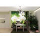 Wallpapers spa composition with bamboo and white orchids Wallpapers spa composition with bamboo and white orchids