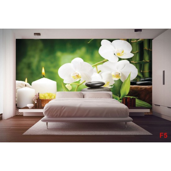 Wallpapers spa composition with bamboo and white orchids Wallpapers spa composition with bamboo and white orchids