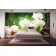 Wallpapers spa composition with bamboo and white orchids Wallpapers spa composition with bamboo and white orchids