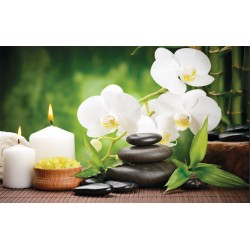 Wallpapers spa composition with bamboo and white orchids Wallpapers spa composition with bamboo and white orchids