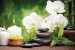 Wallpapers spa composition with bamboo and white orchids